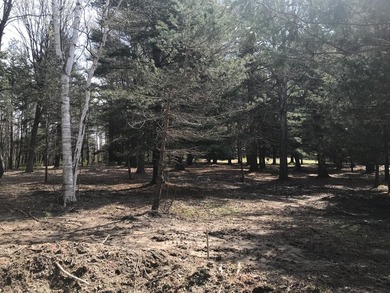 Lake Michigan - Allegan County Lot For Sale in South Haven Michigan