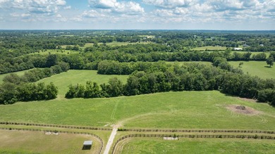 Spectacular equestrian estate nestled on 66 gorgeous acres on - photo 9