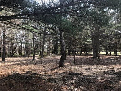 Lake Michigan - Allegan County Lot For Sale in South Haven Michigan
