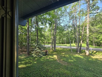 Experience the best of Northern Michigan living in the highly - photo 17