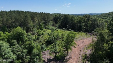 Lake Acreage For Sale in Decatur, Tennessee