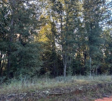 These beautiful wooded lots sit in a build-friendly area where - photo 1