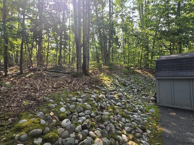 Experience the best of Northern Michigan living in the highly - photo 39