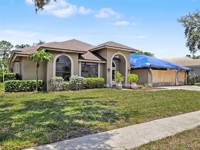 Lake Tarpon Home For Sale in Palm Harbor Florida