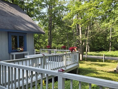 Experience the best of Northern Michigan living in the highly - photo 42