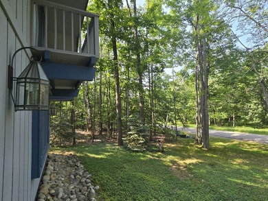 Experience the best of Northern Michigan living in the highly - photo 47