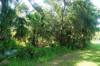 Residential wooded Lot for sale. Well develop area with other - photo 7