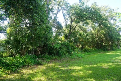 Residential wooded Lot for sale. Well develop area with other - photo 8