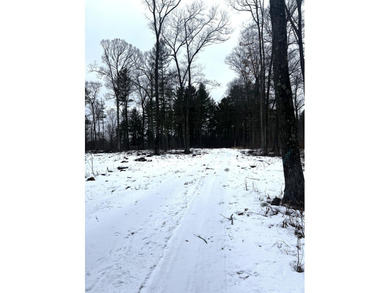 Lake DuBay Acreage Active Under Contract in  Wisconsin