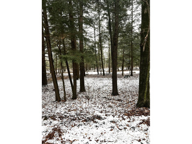 Lake DuBay Acreage Active Under Contract in  Wisconsin