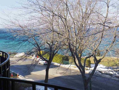 Lake Michigan - Charlevoix County Condo For Sale in Charlevoix Michigan