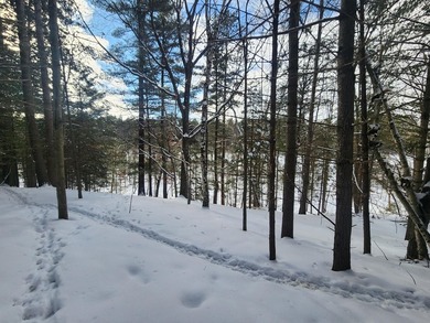 (private lake, pond, creek) Lot For Sale in Hazelhurst Wisconsin