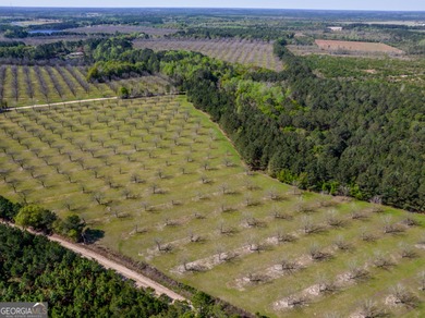 (private lake, pond, coastal) Acreage For Sale in Cobbtown Georgia