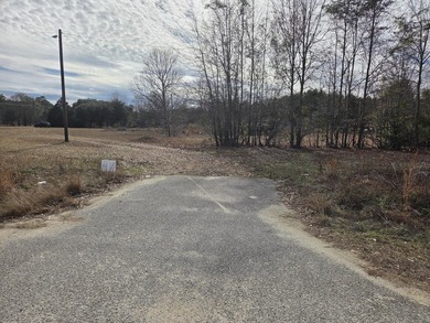 Looking for an opportunity? Check out this 1.84 level lot at the - photo 12