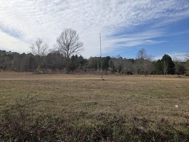 Looking for an opportunity? Check out this 1.84 level lot at the - photo 13