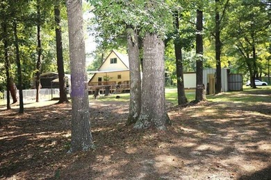Welcome to this super cozy, cabin feeling, A-frame sitting at - photo 29