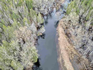 Lake Acreage Off Market in Cornell, Michigan