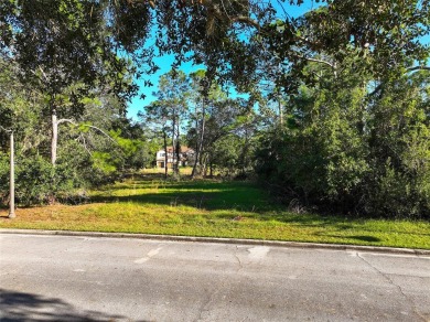 Lake Lot For Sale in Harmony, Florida