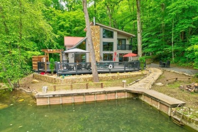 Lake Home For Sale in Morganton, Georgia