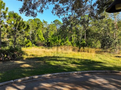 Lake Lot For Sale in Harmony, Florida