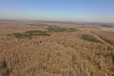 This property boasts 3.5 miles of river frontage on the Little - photo 5