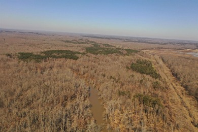 This property boasts 3.5 miles of river frontage on the Little - photo 6