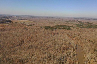 This property boasts 3.5 miles of river frontage on the Little - photo 7