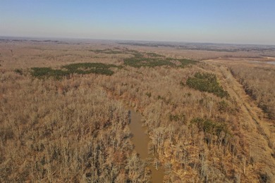 This property boasts 3.5 miles of river frontage on the Little - photo 9