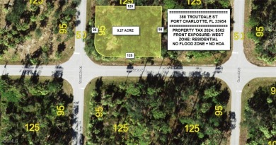 Port Charlotte Waterway Lakes Area Lot For Sale in Port Charlotte Florida
