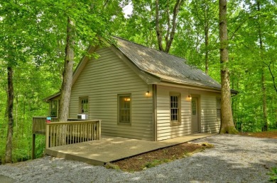 Lake Home Sale Pending in Ellijay, Georgia