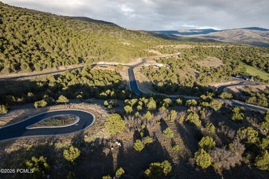 This .94-acre homesite is ideally positioned at the end of a - photo 12