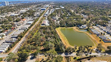 Rare opportunity to acquire two adjacent commercial parcels - photo 3