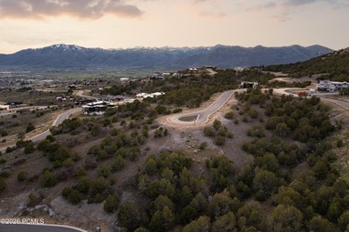 This .94-acre homesite is ideally positioned at the end of a - photo 17