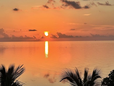 Oceanfront luxury living in Islamorada. Experience the ultimate - photo 4