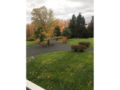 This property is in the heart of the Finger Lakes region of NYS - photo 38
