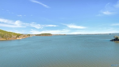 LIFE IS BETTER AT THE LAKE! Charming 3-bedroom, 2-bathroom lake - photo 48