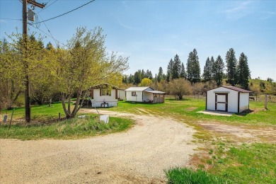 (private lake, pond, creek) Home For Sale in Springdale Washington