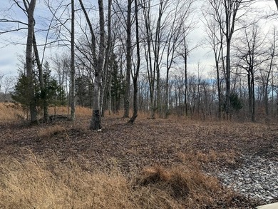 4.52 Acres with a new 30X40 garage is ready for your new home! - photo 18
