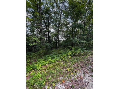 Cave Run Lake Lot For Sale in Wellington Kentucky