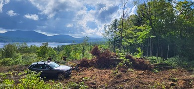 Experience the rare beauty of Schroon Lake from this secluded - photo 2
