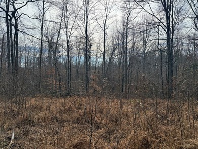 4.52 Acres with a new 30X40 garage is ready for your new home! - photo 22