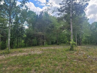 4.52 Acres with a new 30X40 garage is ready for your new home! - photo 27