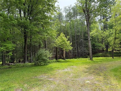 Your Own Private Paradise Awaits Some properties check the boxes - photo 42