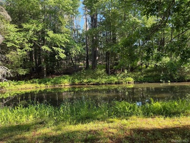 Your Own Private Paradise Awaits Some properties check the boxes - photo 49