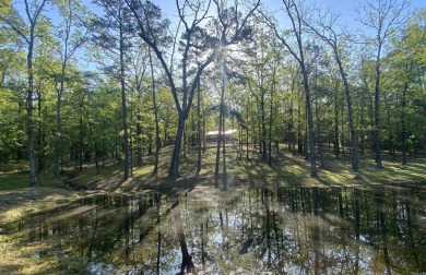 Lake Home For Sale in Mount Ida, Arkansas
