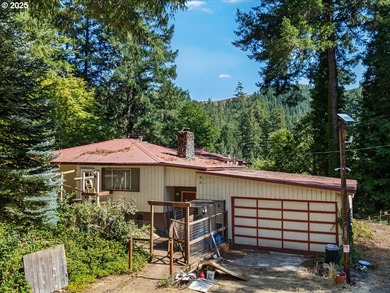 (private lake, pond, creek) Home For Sale in Tiller Oregon