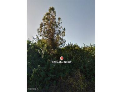 Lehigh Acres Area Lot For Sale in Lehigh Acres Florida