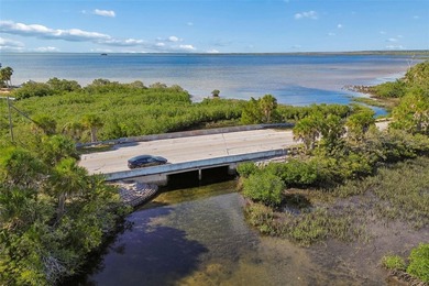 Situated on approximately 3.40 acres in the desirable Weeki - photo 30