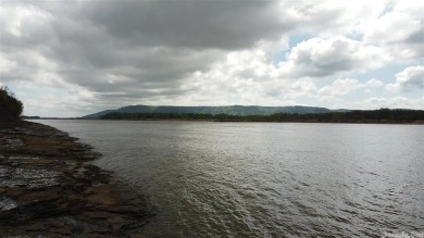 Lake Acreage For Sale in Atkins, Arkansas