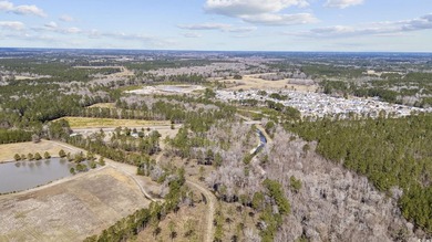 Come explore this stunning 8.74-acre parcel of land, offering an - photo 4